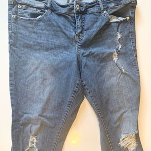 Torrid jeans